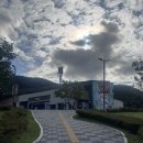 장흥로 | [강화도 여행] 강화루지 할인 이용후기, 이색 데이트