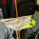 더레지아B | 헤드셋도 뜨개옷이 필요해