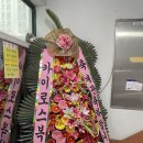 카이로스 복싱 짐 이미지