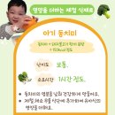 우리집반찬만들기(야간) | 4세 유아식 반찬 아기 무 요리 김치 만들기 동치미 레시피