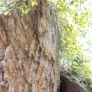 용소약수터 이미지