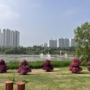 죽백근린공원2 이미지