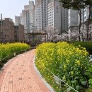 R114공인중개사사무소 이미지