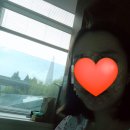 영상메디플라워 이미지