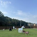일산 파티룸 봉산포레 장소와 후기