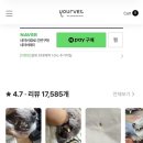 이덴탈 | 강아지 치석 관리, 유어벳 덴탈 스프레이 5개월 사용후기