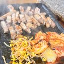 소사랑돼지꿈 이미지