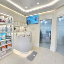 피그랑동물병원 | 송파구 문정동 동물병원 위례따숨 심장병 B1 뚱이의 심장초음파 및 노견 스케일링 후기