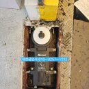 365정화약국 이미지