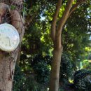 만용농장 이미지