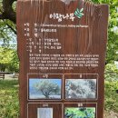 다리목 이미지