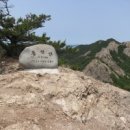 회생당약국 이미지