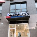 서울준동물병원 | [서울동물병원] 이대역 근처 반려동물 종합 건강검진 고민이라면?