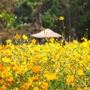 백야학원 이미지