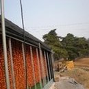 유진농원 이미지