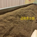 양산피부관리 양산다이어트 양산효소찜질방 양산효소찜질 중부동효소찜질방 금화효소원 (솔직후기)