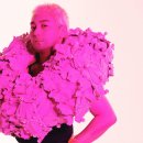 도도킹코리아 이미지