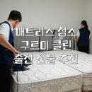 하얀구르미 | 출산 선물 추천 | 매트리스 청소 | 구르미클린