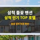 들꽃펜션 | 삼척 여행 필수 숙소 | 삼척 들꽃 펜션 후기