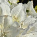 논현포대근린공원2 | 5월 4일 인천 논현포대 근린공원