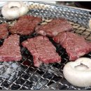 단골집 Daum카페