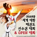 독수리태권도 이미지