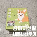 신나라 | [반려견 신발 추천] 신나라슈즈 내돈내산 후기 – 신발안신는애들도 신는다고?