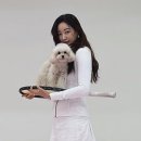 아이두테니스 - 순천시 왕지1길 3-9 | 아이두테니스
