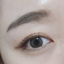 아이젠트리렌즈미 세종다정점 이미지