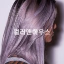 컬러하우스 이미지