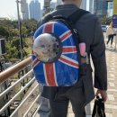 오파프부산 이미지