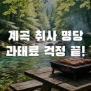 화희 | 계곡 취사 가능 명당 찾는 법! 과태료 걱정 없는 수도권 계곡 추천 TOP 5