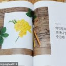 연필그림중급 이미지