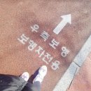 파인드 핏 이미지