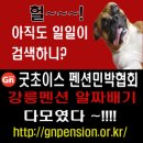 초이스 게임장 이미지