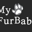 마이댕댕 이미지