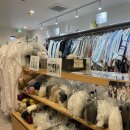 모코모코 | 교토 아라시야마 기모노 체험 모코모코 | 위치·가격·후기 정리