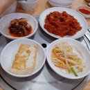 [내돈내산] 가볍게 막걸리 하기 참 좋은 시청맛집, 무교동 낙지애보쌈