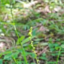 송정환경 이미지