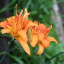 더 남산 이미지