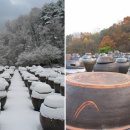 천연산야초농장 이미지