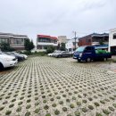 청주고양이입양지원센터 애니멀공화국 이미지