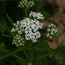 행복소아청소년과의원 이미지