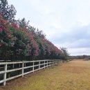 무수목장 이미지