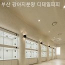 부산 강아지분양 디테일퍼피 이미지