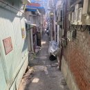 토리키치신당역점 | 베르샤유의 장미 후기(ft. 토리키치 신당역점)