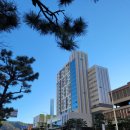 엠에스비젼 이미지