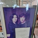 제주에서 짬뽕으로 대박 난 이유? TV 방송에서 극찬한 제주 토마토짬뽕 맛집 '해성도뚜리' 솔직후기