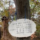 형제봉 농장 이미지