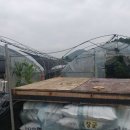 백암초등학교수정분교장 이미지